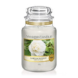 Camellia Blossom Large Jar 623gm